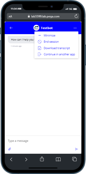 Mobile-responsive web messaging widget